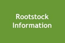 fruit_tree_rootstock_image